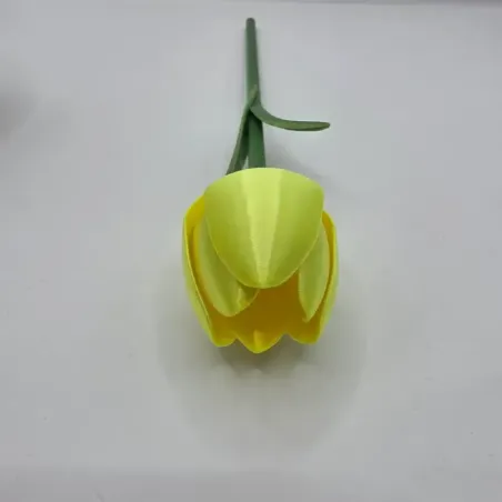 3D-Printet Tulipan i PLA – Dekorativ Blomst i 4 Farver | TM3DPRINT I/S