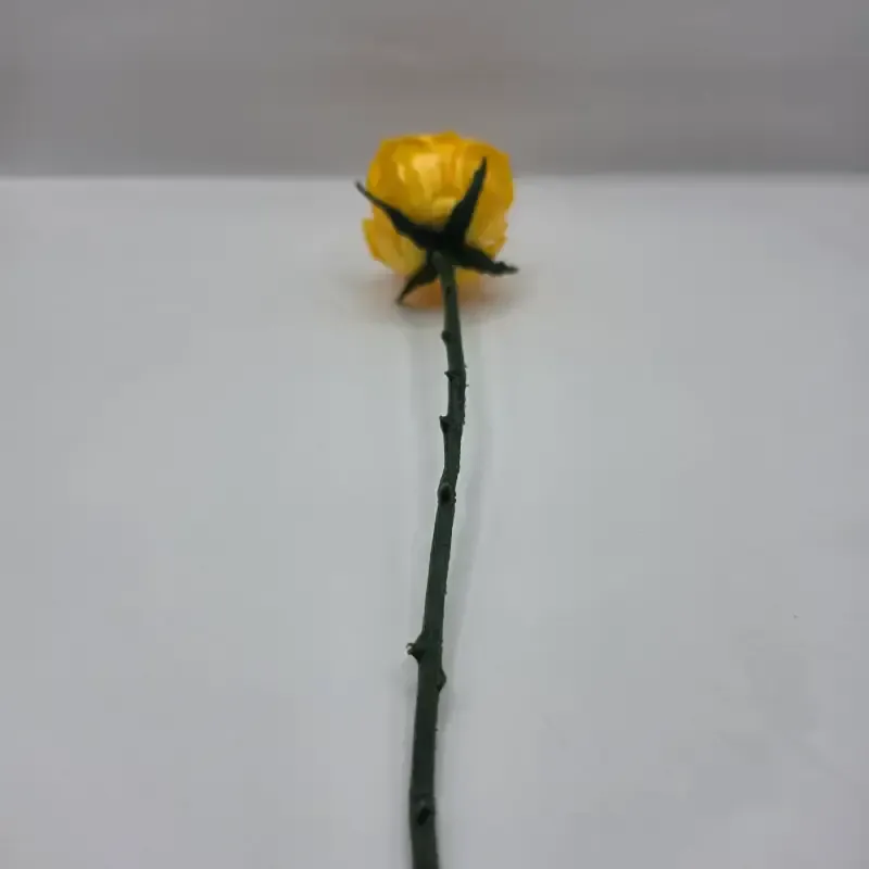 Evighedsrose i PLA – 3D Printet Rose med Stilk | TM3DPRINT I/S