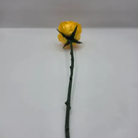 Evighedsrose i PLA – 3D Printet Rose med Stilk | TM3DPRINT I/S