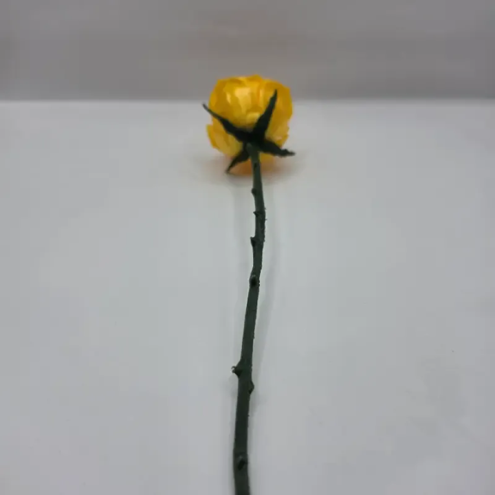 Evighedsrose med Stilk – 3D-printet Rose | TM3DPRINT