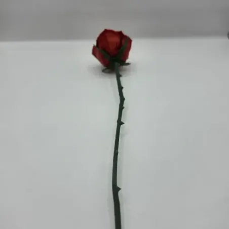 Evighedsrose i PLA – 3D Printet Rose med Stilk | TM3DPRINT I/S