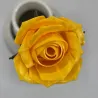Evighedsrose i PLA – 3D Printet Rose med Stilk | TM3DPRINT I/S