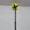 Evighedsrose i PLA – 3D Printet Rose med Stilk | TM3DPRINT I/S