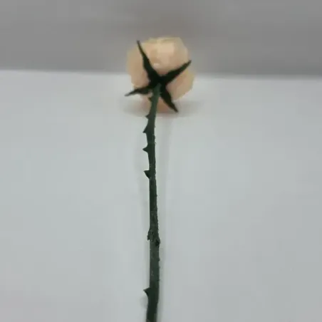 Evighedsrose i PLA – 3D Printet Rose med Stilk | TM3DPRINT I/S