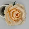 Evighedsrose i PLA – 3D Printet Rose med Stilk | TM3DPRINT I/S